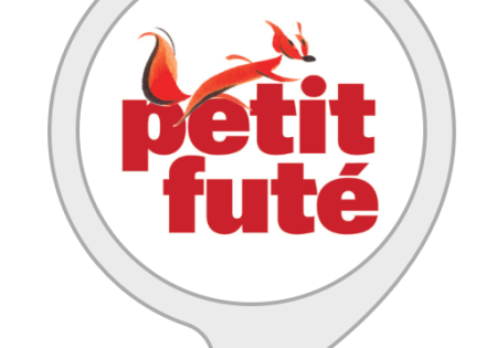 Petit Futé Guide Book